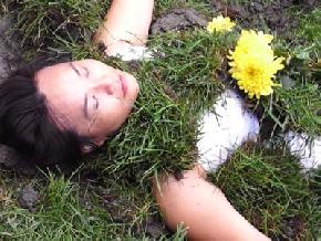 Chia, sleeping with the ignorance Chia, sleeping with the ignorance